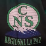 Nic Chavez - @nelsonismelcoriachavez - Instagram