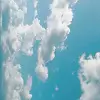 Nicole Cota - @nicolecota18 - TikTok