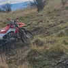 Nic_Davis - @nic_davis - TikTok