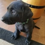 Nic Dawson - @nic.dawson.nd - Instagram