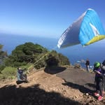Nic Dowdall - @nicdowdall - Instagram