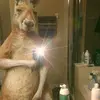 nico Duran - @nico.duran11 - TikTok