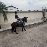 Nicolas Hernández - @nic_hernandez11 - Instagram