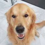 Nic Reid - @g1963b - Instagram
