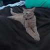 Nic Scott - @nicscott124 - TikTok