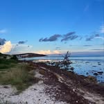 Nick Scott - @_nick_scott - Instagram