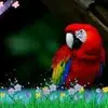 Nic Smith - @nic.smith2 - TikTok