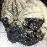 Nic Stevenson - @nicn1975 - Instagram