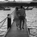 Nic Taylor - Facebook