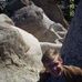 Nic Weber - Facebook