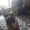 Nic Wilson - @nic.wilson68 - TikTok