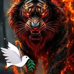 Nick Wilson - Facebook