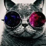 Nicholas Aaron - @phsycokittyrainbow - Instagram