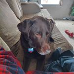 nicholas aaron - @nicholas05424 - Instagram