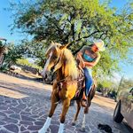 Nicholas Acevedo - @acevedo_f150 - Instagram