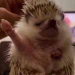@nicholas_acton2 - Instagram