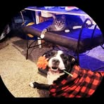 Nicholas Adams - Facebook