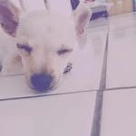 Nicholas - @nicholas_adrian_ - Instagram