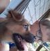 Nicholas Adrian - Facebook