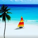 The Agard Experience - @nicholas.agard - Instagram