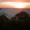 Nicholas Albert - @oncuayb - TikTok