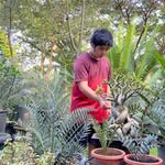 Nicholas Albert Chandra - @nicholasalbertchandra - Instagram