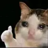 Nicholas Alcala - @nicker135 - TikTok