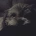 Nicholas Ambriz - Facebook