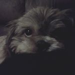 Nicholas Ambriz - @nicholas.ambriz.9 - Instagram