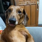 Juanico Nicholas Anastasio Fidel Cariño - @juanniccholas - Instagram