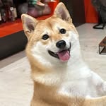 Nicholas Andy - @nicho.andy - Instagram
