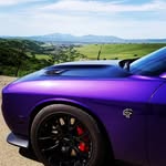 Nicholas Appice - @peechy17 - Instagram