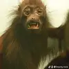 Nicholas Sarden - @nicholas.sarden - TikTok