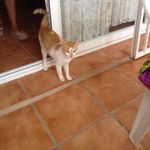 nicholas asta - @fuji_2004 - Instagram