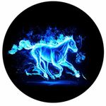 Nicholas Atkins - @pugnick24 - Instagram