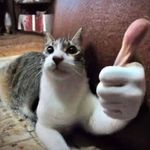 Nicholas Babbs - @nicholas_babbs - Instagram
