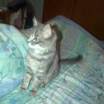 Nicholas Banfield - Facebook