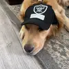 Nicholasbarba52 - @nicholasbarba52 - TikTok
