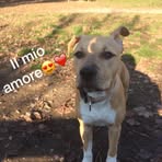 Nicholas Barbagallo - Facebook