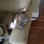 Nicholas Barger - @bargernicholas - Instagram