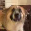 Nicholas Barnhart452 - @soulkrusherr - TikTok