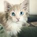 Nicholas Bartlett - Facebook