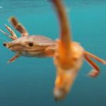 Nicholas Bartlett - @nicholas.whitehead.100 - Instagram
