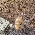 Nicholas Basile - @nicholas.basile.739 - Instagram