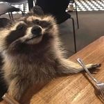 Nicholas Bator - @nichooo00 - Instagram