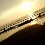 Nicholas Bay - Facebook
