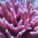 Nicholas Beattie - Facebook