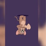 Nicholas Bences - @nicholasbences - Instagram