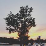 Nicholas Bernardi - @nik.bernardi - Instagram