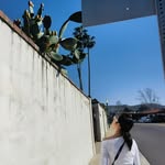 Nicholas Bever - @nicholasbever - Instagram